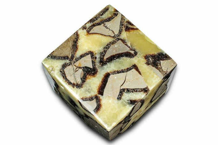 Wide Polished Septarian Cube - Madagascar #337280